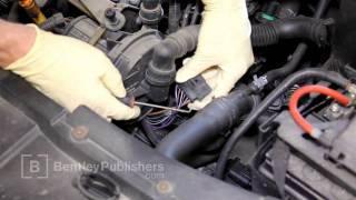 VW Golf Jetta New Beetle A4 20022004  DTC fault code P1355 P1358 P1361 P1364  DIY Repair [upl. by Kellen]