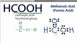 HCOOH Lewis Structure How to Draw the Lewis Structure for HCOOH [upl. by Inahpets543]