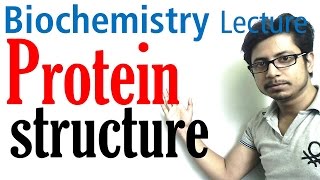 Protein structure  primary secondary tertiary and quaternary structure of protein [upl. by Ardith]