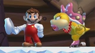 New Super Mario Bros U 100 Walkthrough Part 4  Frosted Glacier All Star Coins amp Secret Exits [upl. by Banks568]