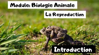 Biologie animale S1  Reproduction Introduction  شرح بالدارجة [upl. by Grearson]