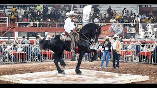 CABALLOS FRISONES BAILADORES  Expo Ganadera Jalisco 2021 [upl. by Lapotin869]