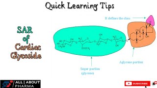 pharmacy medicinalchemistry Sar of Cardiac glycoside [upl. by Nunci]