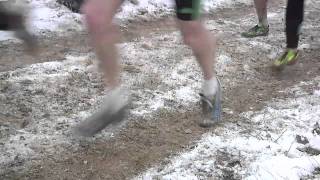 Championnat de France cross country [upl. by Adnalue]