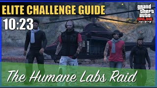 The Humane Labs Raid Elite Challenge Ultimate Guide [upl. by Royall]