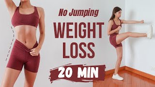 Full Body Weight Loss  20 min No Jumping Cardio for Fat Burn  Emi [upl. by Raphaela]