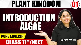 PLANT KINGDOM 01  Introduction Algae  Botany  Pure English  Class 11thNEET [upl. by Mariano]