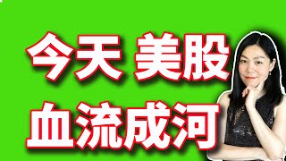 美股分析赚钱：半导体开枪，全体趴下。但有一处避风港。【20240717】 [upl. by Iveson215]