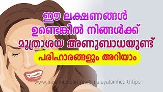 Urinary Infection Symptoms Diagnosis and Treatment  Daily Malayalam Health Tips [upl. by Deerdre]