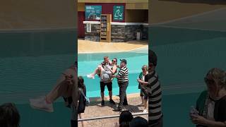 The best moment Tom mime SeaWorld seaworldmime funny comedy funnyvideo fun [upl. by Sudderth]