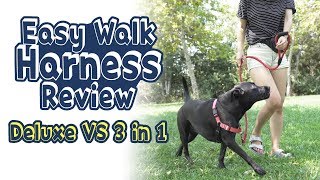 대형견에게 꼭 필요한 하네스 ㅣ 지금까지 사용한 목줄과 하네스는 ㅣDeluxe easy walk VS 3 in 1 harness ㅣep52 [upl. by Nythsa744]