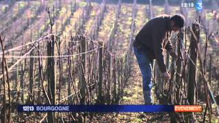 Domaine Ramonet à CHASSAGNEMONTRACHET [upl. by Pelletier]