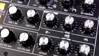 New MOOG MINITAUR Analog Bass Synth  First Look NAMM 2012 [upl. by Rebeca]