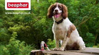 How to remove a tick  Beaphar UK [upl. by Annagroeg774]