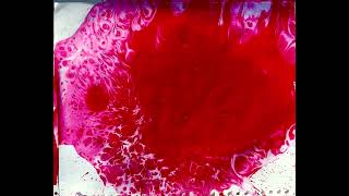 Red ink splatter 2 [upl. by Hgiellek]