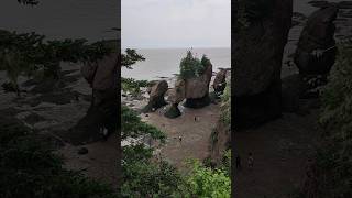 New BrunswickHopewell Rocks national Park [upl. by Kape837]