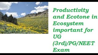 Productivity in EcosystemGPPNPPNCP and Ecotone for NEETUPSCCompetition Exam [upl. by Ferro389]