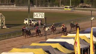 Gympie 20240720 Race 5 [upl. by Lasiaf306]