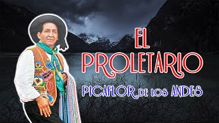 Picaflor de los Andes  EL PROLETARIO [upl. by Cassi]