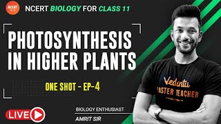 Photosynthesis in Higher Plants ONESHOT EP4  NCERT Biology Class 11  Vedantu NCERT 11amp12 [upl. by Ynamad]