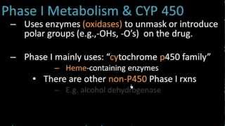 Phase I Metabolism  Pharmacology Lect 7 [upl. by Eenimod863]