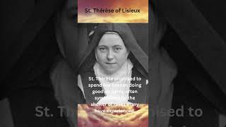 Saint Thérèse of Lisieux The Little Flower of Jesus  Saint of the Day [upl. by Aloin]