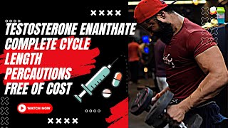 Testosterone enanthate full cycle  Percautions  Episide 2 [upl. by Lizned79]