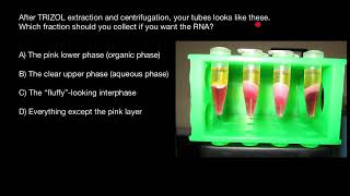 Trizol Reagent for RNA DNA and Protein Isolation [upl. by Yaja]