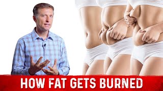 How Fat Gets Burned Science Of Fat Burning Simplified – Dr Berg [upl. by Enrev]