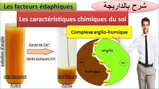 le complexe argilohumique  les propriétés chimiques du sol TCSF شرح بالداريجة [upl. by Neddy]