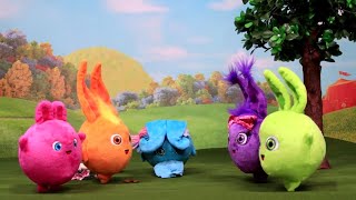 Cartoons For Children  SUNNY BUNNIES  LIGHT UP AND BOUNCE TOYPLAY EPISODE  Cartoons For Children [upl. by Kramnhoj]