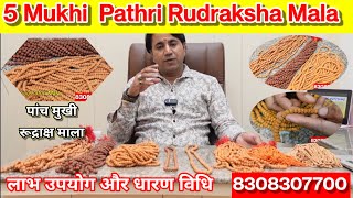 Pathri Rudraksha Mala l Blessed with Lord Shiva’s Loved Rudraksha Mala  Maha Shivratri Special [upl. by Strephonn]