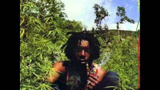 Peter Tosh  Why must I cry [upl. by Hightower]