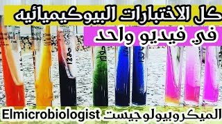 Identification of bacteria Microbiology practical  Biochemical tests شرح بالعربي [upl. by Jervis]