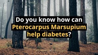 Do you know how can Pterocarpus Marsupium help diabetes [upl. by Onitnas]