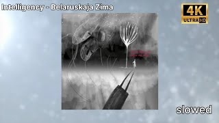 Belaruskaja Zima  slowed Intelligency [upl. by Elrebmik]