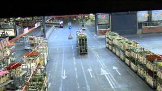 Aalsmeer Flower Market Operations [upl. by Eido]