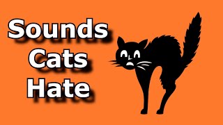 SOUNDS CATS HATE  Sound To Scare Cats and Dogs  Ultrasonic Alarm To Scare Off Animals [upl. by Ssac]