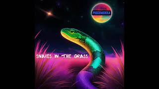 PieceMekka  Snakes In The Grass Guidance Riddim [upl. by Huey]