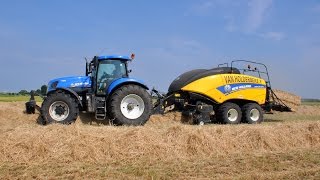 New Holland T7270 amp BigBaler 1290  Loonw Van Holderbeke  graszaadhooi persen [upl. by Elleinwad]