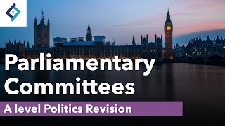 Parliamentary Committees  A Level Politics [upl. by Voltz792]