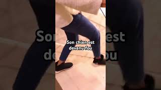 Group Verity et Chelsea prank humour prt funny percer shortsclip [upl. by Chrisse642]