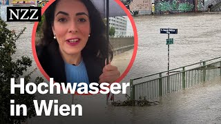 Hochwasser in Wien Nicht die Donau ist das Problem – sondern der Wienfluss [upl. by Nivrac]