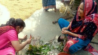 উর্মি যখন ডাটা শাক কাটতেছ  Urmi is picking vegetables as a disabled girl [upl. by Autry]