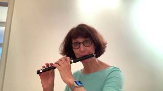 Mindy Kaufman on the Piccolo Solo from Mahler’s Resurrection Symphony [upl. by Nosaes]