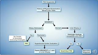 Primary Sclerosing Cholangitis AASLD Guidelines [upl. by Agate]