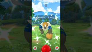 ✨¡Shiny PASSIMIAN Caught✨ Shiny hunting  Pokémon GO shinypokemon shinyhunting [upl. by Eberhard]