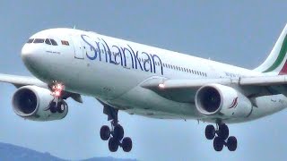 Sri Lankan Airlines Airbus A330 Landing in Hong Kong Airport flight ALK422 4RALC [upl. by Moht]