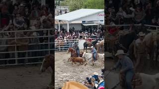 Rodeo show 2024 oakdale prorodeo cowboys rodeo rodeo rodeostyle prcarodeovideos horsereels [upl. by Anoit]