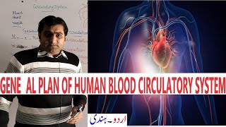 GENERAL PLAN OF HUMAN BLOOD CIRCULATION  Biology 9th  Chapter 9 Transport [upl. by Spense]